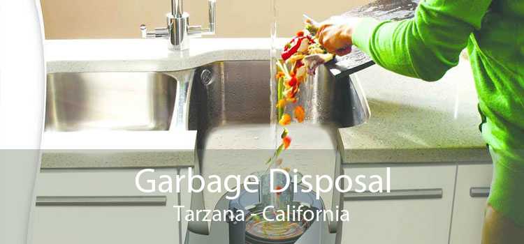Garbage Disposal Tarzana - California