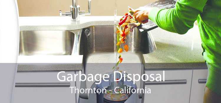 Garbage Disposal Thornton - California