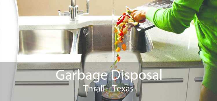 Garbage Disposal Thrall - Texas