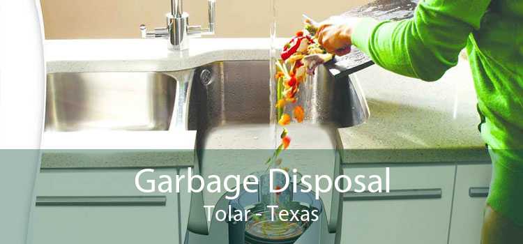 Garbage Disposal Tolar - Texas