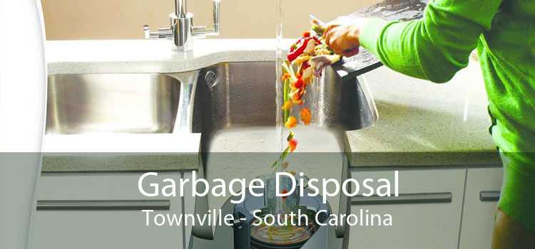 Garbage Disposal Townville - South Carolina
