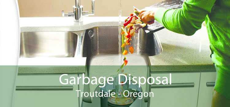 Garbage Disposal Troutdale - Oregon