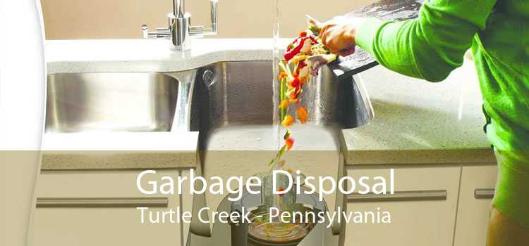 Garbage Disposal Turtle Creek - Pennsylvania