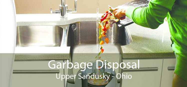 Garbage Disposal Upper Sandusky - Ohio