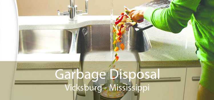 Garbage Disposal Vicksburg - Mississippi