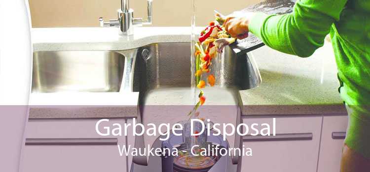 Garbage Disposal Waukena - California