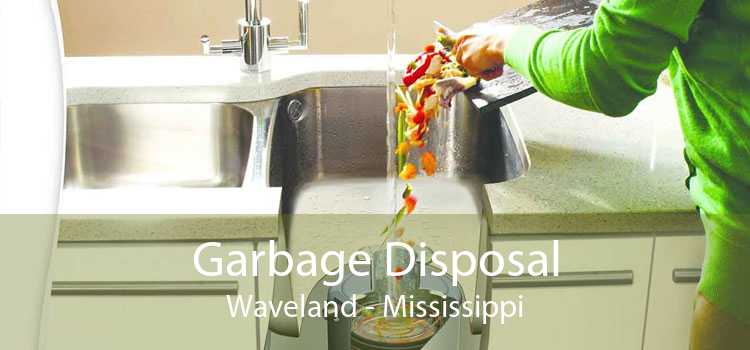 Garbage Disposal Waveland - Mississippi