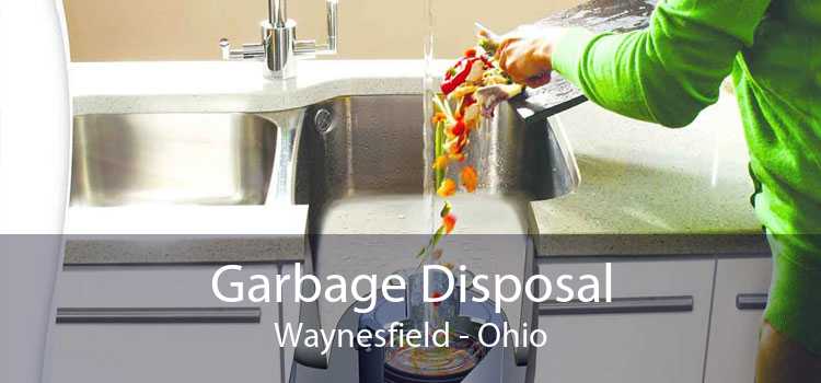 Garbage Disposal Waynesfield - Ohio
