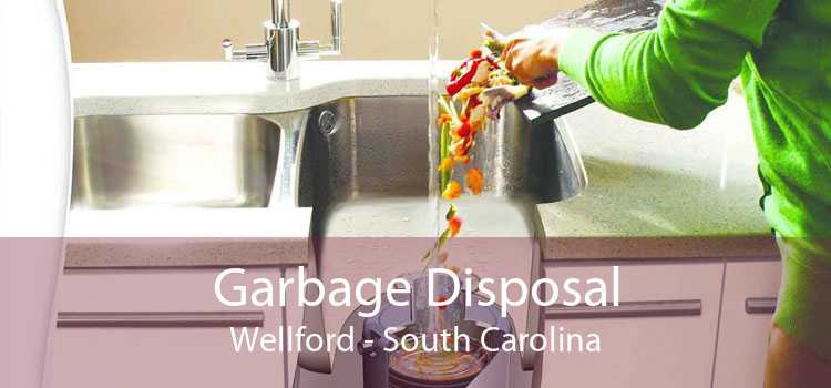 Garbage Disposal Wellford - South Carolina