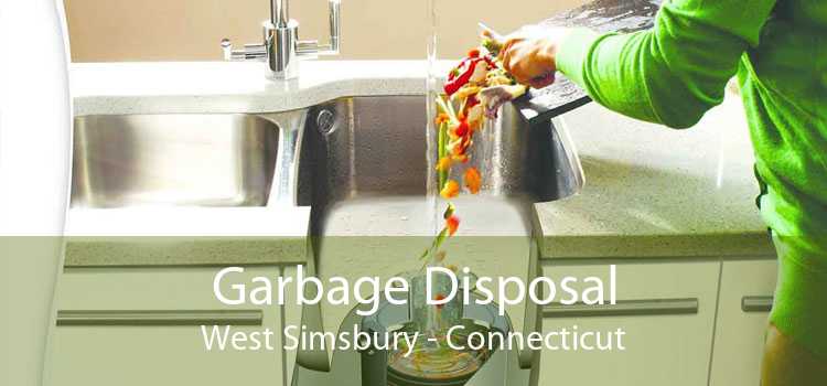 Garbage Disposal West Simsbury - Connecticut