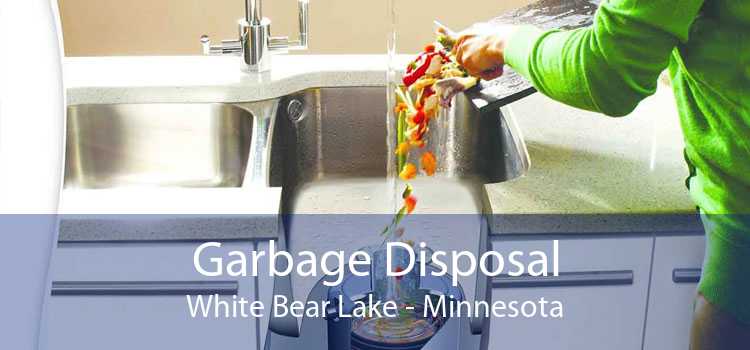 Garbage Disposal White Bear Lake - Minnesota