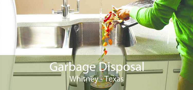 Garbage Disposal Whitney - Texas