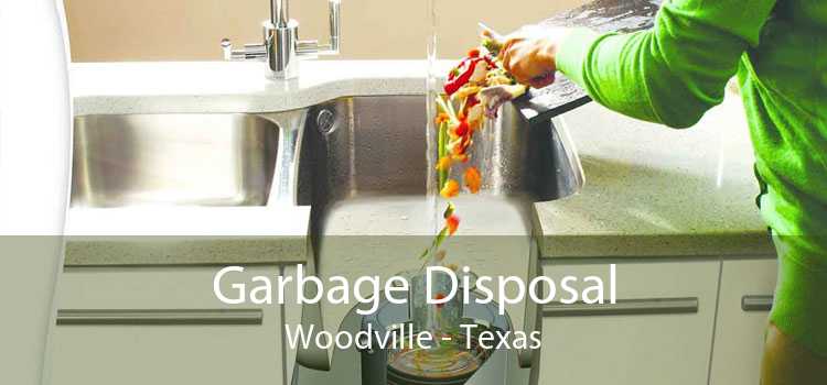 Garbage Disposal Woodville - Texas