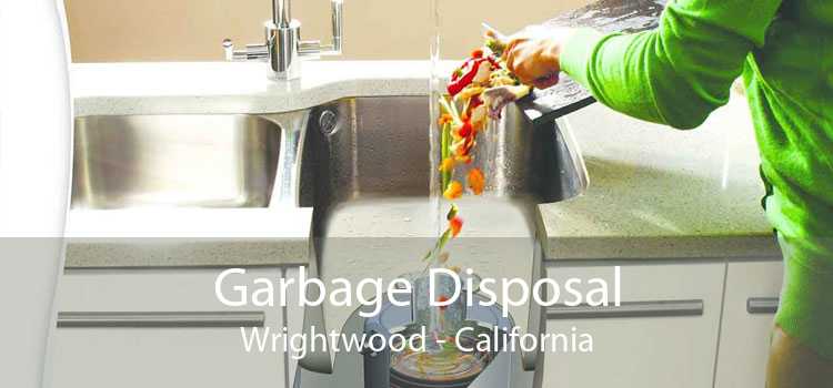 Garbage Disposal Wrightwood - California