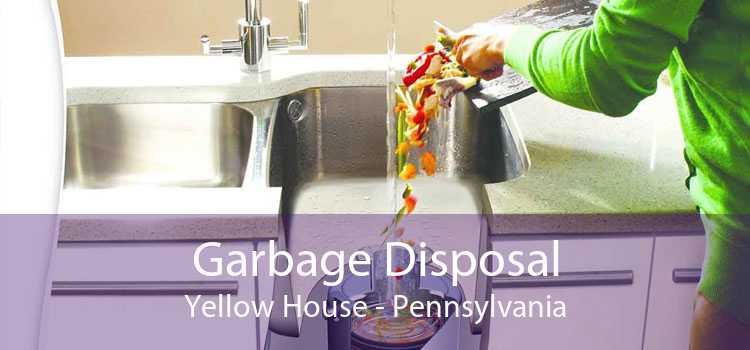 Garbage Disposal Yellow House - Pennsylvania