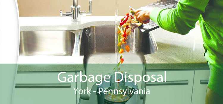 Garbage Disposal York - Pennsylvania