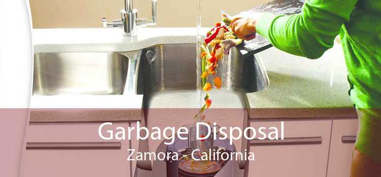 Garbage Disposal Zamora - California