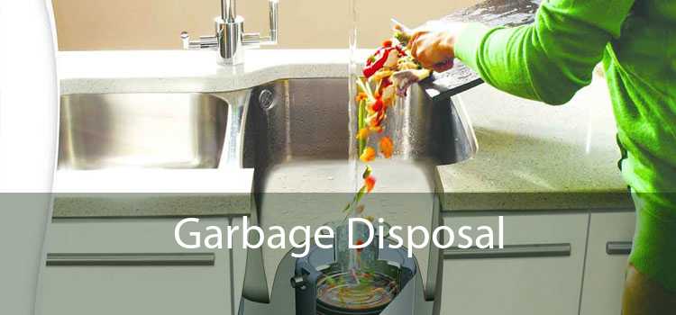 Garbage Disposal 