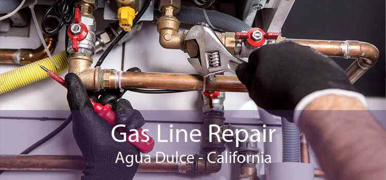 Gas Line Repair Agua Dulce - California