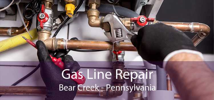 Gas Line Repair Bear Creek - Pennsylvania
