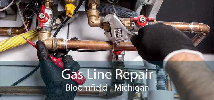 Gas Line Repair Bloomfield - Michigan