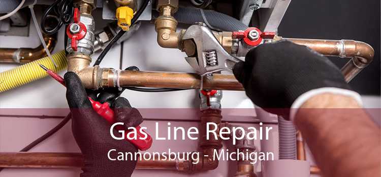Gas Line Repair Cannonsburg - Michigan