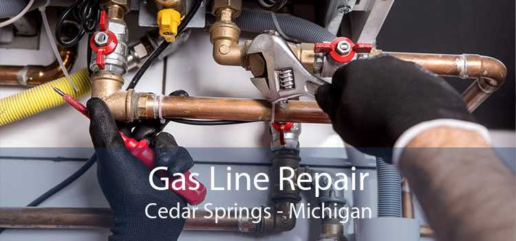 Gas Line Repair Cedar Springs - Michigan