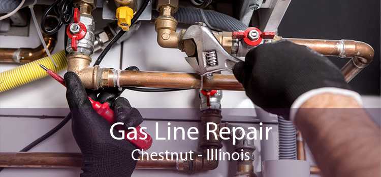 Gas Line Repair Chestnut - Illinois