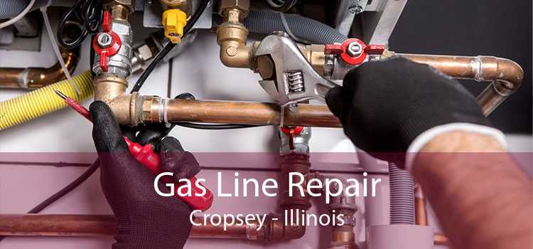 Gas Line Repair Cropsey - Illinois