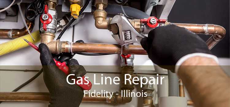 Gas Line Repair Fidelity - Illinois