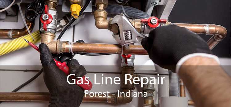 Gas Line Repair Forest - Indiana