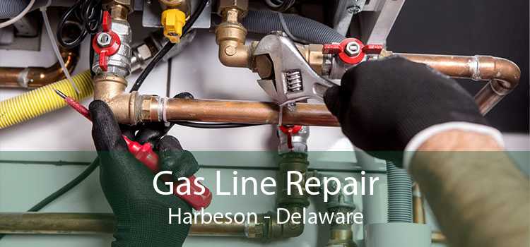 Gas Line Repair Harbeson - Delaware