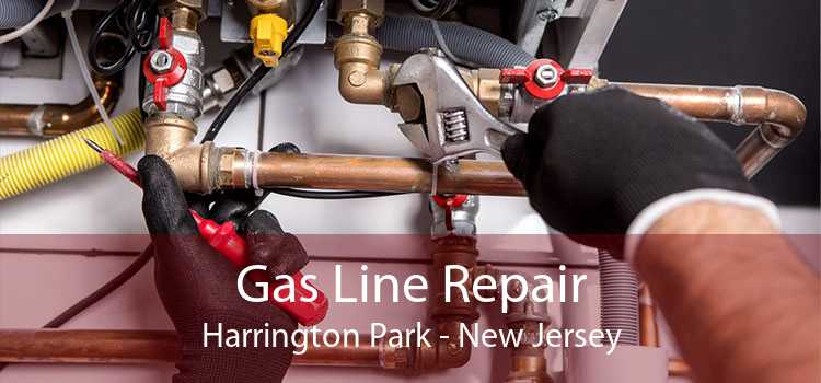 Gas Line Repair Harrington Park - New Jersey