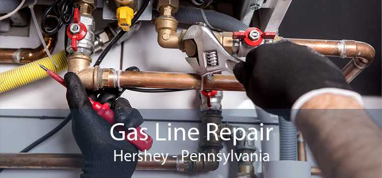 Gas Line Repair Hershey - Pennsylvania