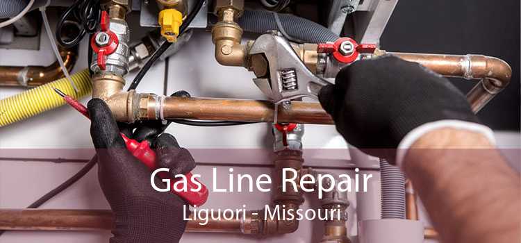 Gas Line Repair Liguori - Missouri