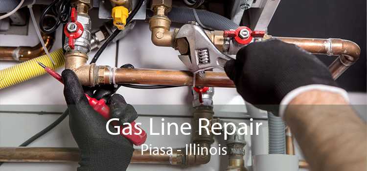 Gas Line Repair Piasa - Illinois