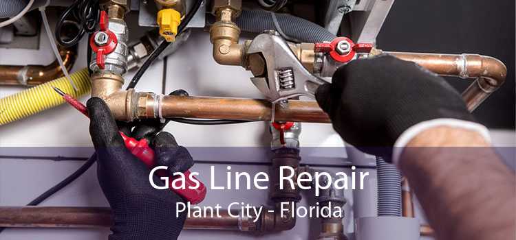 Gas Line Repair Plant City - Florida