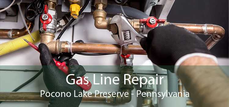 Gas Line Repair Pocono Lake Preserve - Pennsylvania