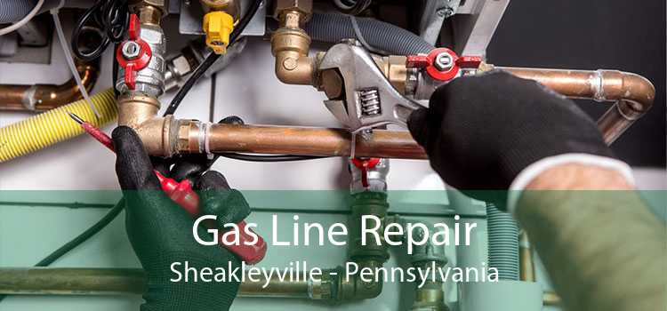 Gas Line Repair Sheakleyville - Pennsylvania
