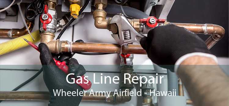 Gas Line Repair Wheeler Army Airfield - Hawaii