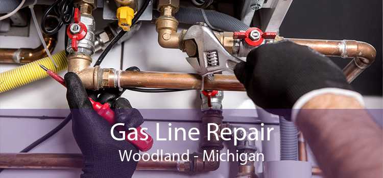 Gas Line Repair Woodland - Michigan