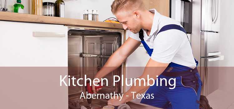 Kitchen Plumbing Abernathy - Texas