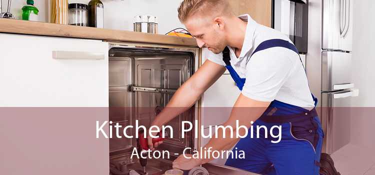 Kitchen Plumbing Acton - California