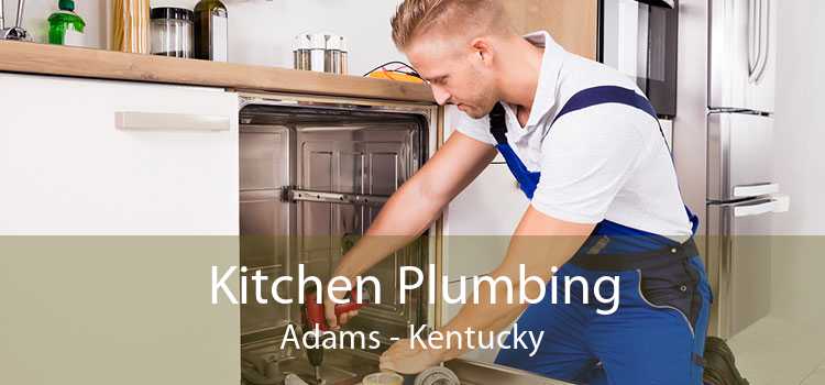 Kitchen Plumbing Adams - Kentucky