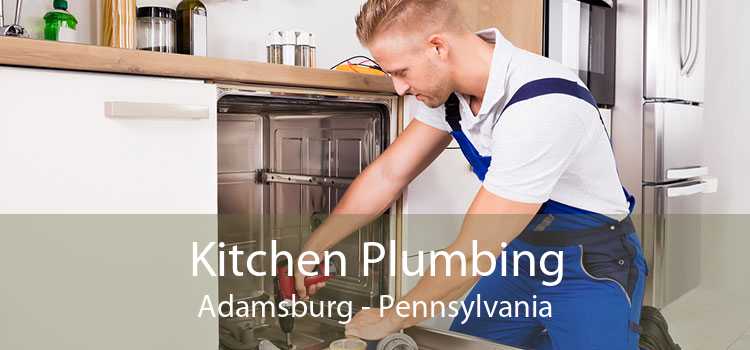 Kitchen Plumbing Adamsburg - Pennsylvania