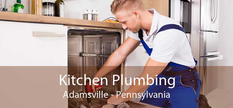 Kitchen Plumbing Adamsville - Pennsylvania
