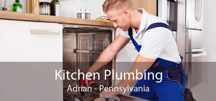 Kitchen Plumbing Adrian - Pennsylvania