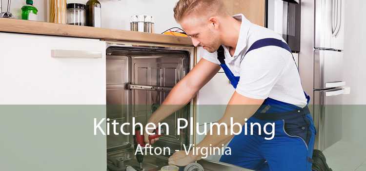 Kitchen Plumbing Afton - Virginia