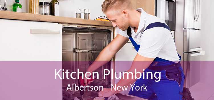 Kitchen Plumbing Albertson - New York