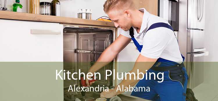 Kitchen Plumbing Alexandria - Alabama